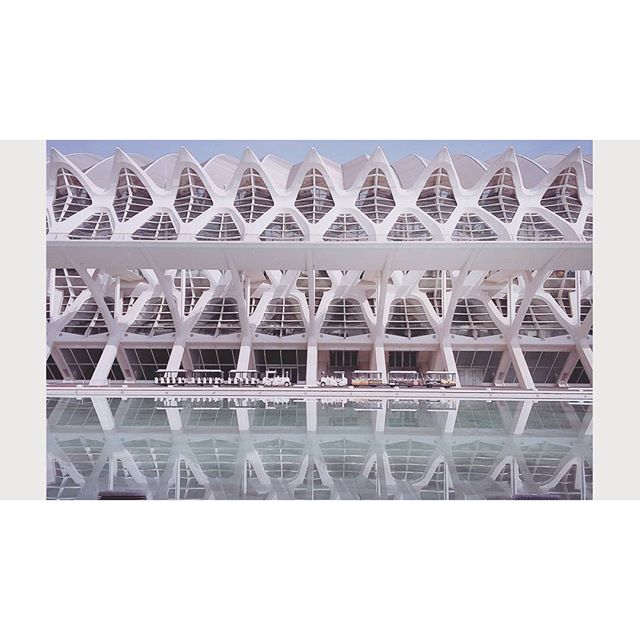 #instapic #picoftheday #art #valencia #ciudad #artesyciencias #lovevalencia #mycity #arquitectura #arquitecture #culture