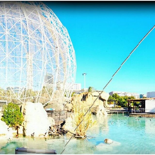 #vlc #valencia #comunidadvalenciana #spain #visitspain #espana #ciudadvella #cityspaces #traveldiaries #wanderlust #viewpoint #instalike #instadaily #instapic #picoftheday #paradise #traveling #travelgram #tripgram #instatravel #instapassport #loves_valencia #lovevalencia #instavsco #igers #ciudad #ciudaddelasartesylasciencias