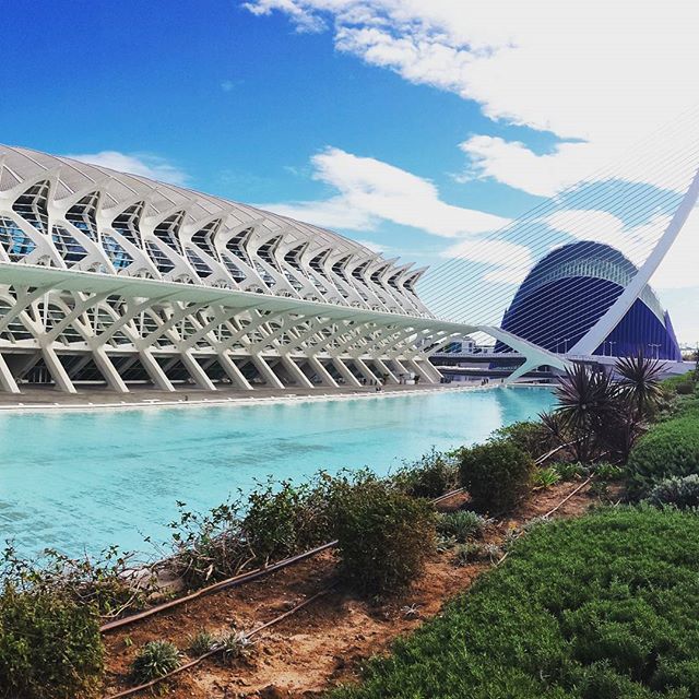 ??? ?? don't stop u to watch this one!follow the photos!panoramic creation! ??? #traveldiaries #wanderlustcontest  #wannalivehere #amazing #viewpoint #travelgram #tripgram #abroad #worldtourists #selfietravel #instatrip #instavalencia #instapassport #instasea #instagood #instamood #instarelax #sunnyday #love #traveling #novemberphotoaday #novemberphotochallenge #loves_valencia #lovevalencia #calatrava #architecturelovers #panoramic #museodelasciencias #oceanogràfic  #museodeprincipefelipe