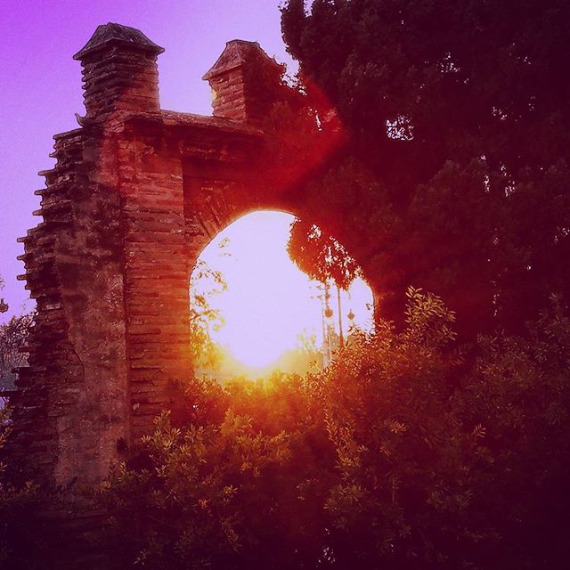 Cuando mi #valencia te quiere decir algo te lo dice sin resquemor ni pudor alguno... Eso si quizás deberás adivinarlo tú.
#thebestphoto #valenciagram #lovevalencia #valencialove #picoftheday