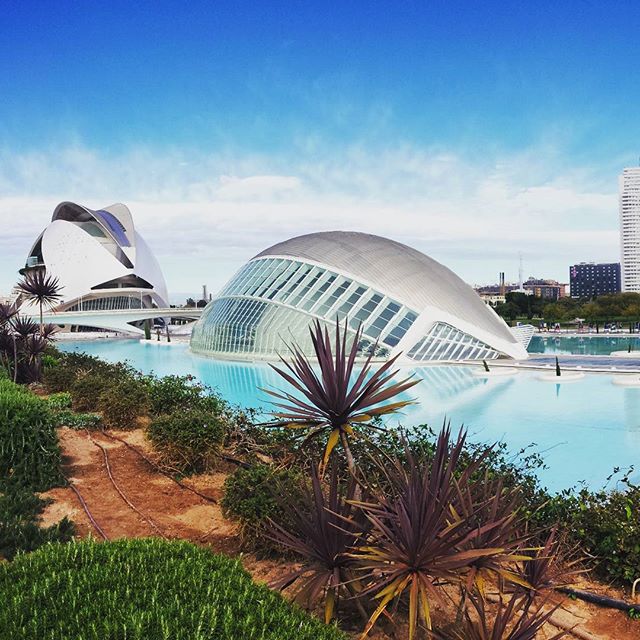 ??? ?? don't stop u to watch this last one!follow from the beginning the photos!panoramic creation! ??? #wanderlustcontest  #wannalivehere #amazing #viewpoint #travelgram #tripgram #abroad #worldtourists #selfietravel #instatrip #instavalencia #instapassport #instagood #instamood #instarelax #sunnyday #love #traveling #novemberphotoaday #novemberphotochallenge #loves_valencia #lovevalencia #calatrava #architecturelovers #panoramic #museodelasciencias #hemisféric #palaudelesarts #museodeprincipefelipe