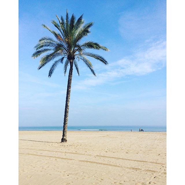 Christbaum ala Luu ???
#dayoff#christbaum#heuerwurdenichtgeschmückt#bestholidays#seeyousoon#lovevalencia#beach#sun#fun#luuundihreeigeneverrücktewelt#somuchlove#placetostay
????