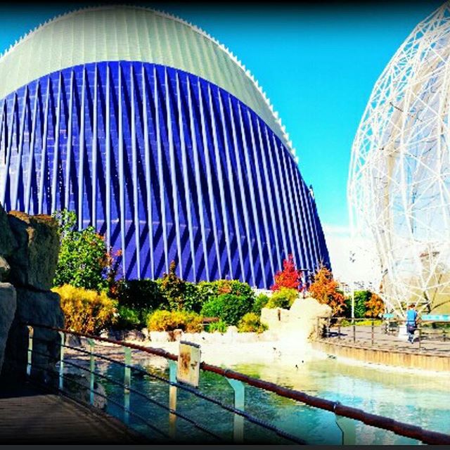 This is only the last one..check the others! ;) #vlc #valencia #comunidadvalenciana #spain #visitspain #espana #ciudadvella #cityspaces #traveldiaries #wanderlust #viewpoint #instalike #instadaily #instapic #picoftheday #paradise #traveling #travelgram #tripgram #instatravel #instapassport #loves_valencia #lovevalencia #instavsco #igers #ciudad #ciudaddelasartesylasciencias