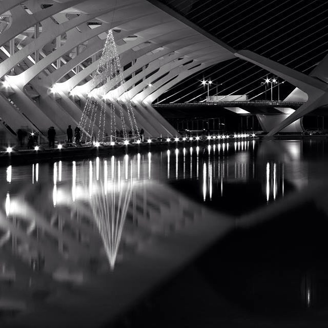 #loves_valencia #valenciagrafias #valenciagram #match_valencia #estaes_valencia  #total_cvalenciana #fotoclub_bnw  #discovervalencia #naturaleza_comunidadvalenciana #valenciaterraimar#lovevalencia #nocturnal #sunsets #blancoynegro #fotoclub_bnw#reflection #reflejos