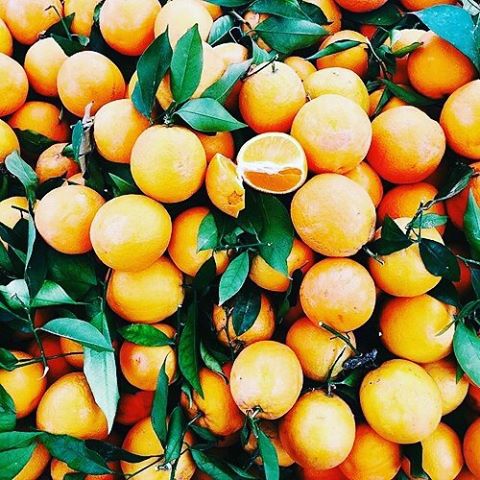 Buenos días!!! Después de tantas comidas y cenas solo me apetecen zumos y cosas ligeras! Y hoy...Naranjas de Valencia para desayunar! #naranjas #valencia #detox #orangejuice #goodmorning #orange #juice #eatclean #fitgirl #vitaminac #lovevalencia #lovefruits #buenosdías #vidasana #fitlife #picfood #estilosaludable #instafood #healthylife #healthyfood #fitnesslife #desayunosano #breakfast