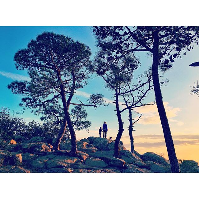 ?nunca hagas mañana lo que puedes hacer hoy?