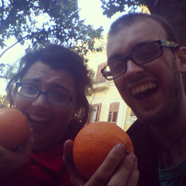 just another orange tree 
#Valencia #LoveValencia 
#Taizé #LoveTaizé