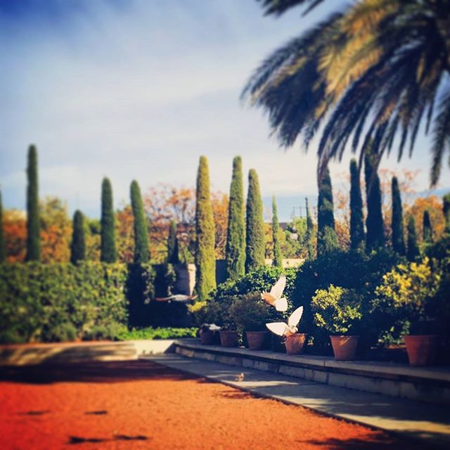 #travelgram #touristgram #tripgram #instatravel #instapassport #loves_valencia #lovevalencia