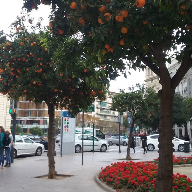 #Espania #coraz #pi?kniejsza #loveValencia #beautiful #Time