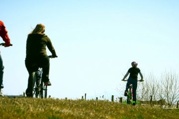 biciclette a valencia