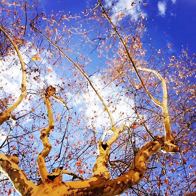 Nada como el azul del cielo de Valencia ?
#valencia #cielodevalencia #blue #lovevalencia