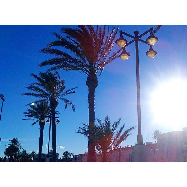 Enjoying the last days of sunshine. 20 degrees, January! Te quiero!!!! #lovevalencia #valencia #travel #travelgram #sunshine #palmtrees #beach #sand #sea #sunbathing