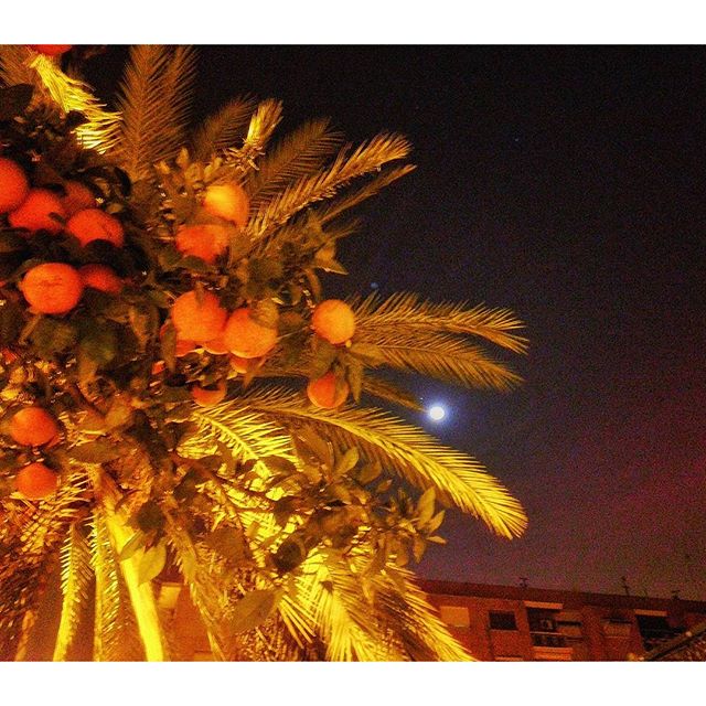 Descripción gráfica de estar a la luna de #valencia #thebestphoto #picoftheday #lovevalencia