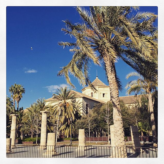 Valencia enamora de verdad. Enero y 22 grados, la luz espectacular... Y nosotros de paseo por el centro, este es el edificio de la Biblioteca Municipal. Los alrededores dejaban bastante que desear, estaban muy sucios, una pena, el sitio es una pasada. #Valencia #valenciagram #valenciaenamora #lovevalencia #bibliotecamunicipal #edificios #edificiosconencanto