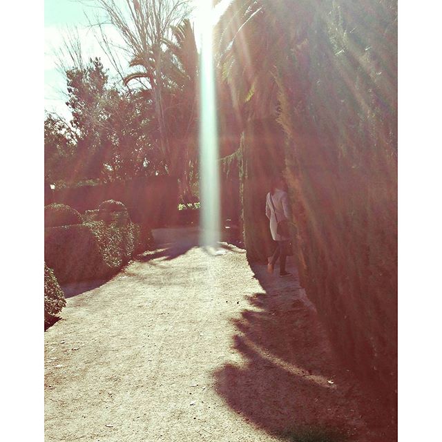 "En aquellas dieciséis horas había aprendido más de la realidad que en cuarenta años de vida burquesa"

#24horasenlavidadeunamujer

5/5

#libros #leer #stefanzweig #escapar #manos #book #read #jardin #love #recomendados #ruleta #valencia #igersvalencia #lovevalencia #sol #biblioteca ?