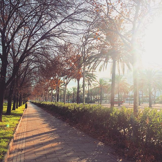 ¡Vida! #LovelyDay #PostExams #LoveValencia #EneroEnValencia