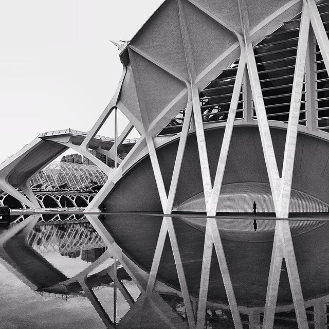 #valencia #valenciagram #palau bel arts #lovevalencia