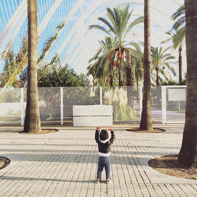 You think big you grow big ????