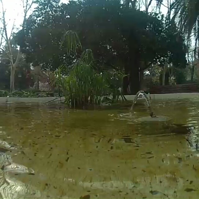 Rincón tranquilo
???
#jardinesdeviveros #jardinesdelreal #relax #agua #fuente #niloxminifwifi #nilox #lovevalencia #valenciaenamora