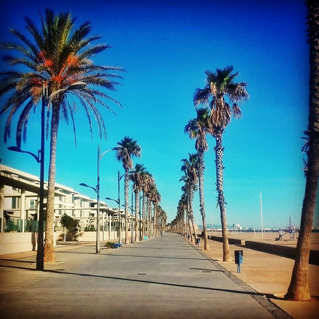 Another nice view from patacona beach seafront
#playa #beach #playadelapatacona #alboraya #valencia #valenciagram #valenciagrafias #valenciaterraimar #turisvalencia #valenciatendencia #estaes_valencia #lovevalencia #estaes_de_todo #estaes_espania #turismoaccesible #turismoadaptado #tourismforall #accessibletourism #accessible #accessibility #ocioinclusivo #accessiblebeach #beachforall #lppathfinders #lonelyplanet #comunidadvalenciana