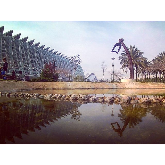 Invierno en el río
???
#rioturia #valencia #gopro #lovevalencia #ciudadelasartesylasciencias #valenciaenamora #invierno #reflejo #agua