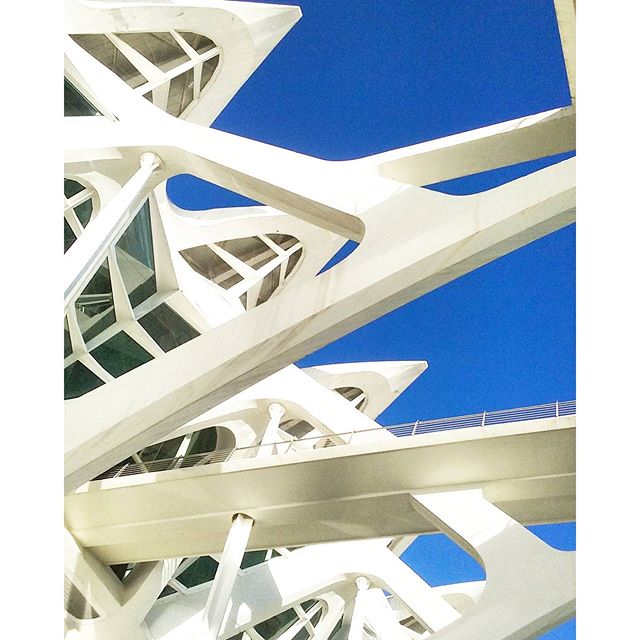 Estructures. Ciutat de les Arts i les Ciències. València.2016 #València #valencia #cityofartsandsciences #ciutatdelesartsilesciencies #ciudaddelasartesylasciencias #PaísValencià #paisvalenciano #comunidadvalenciana #ComunitatValenciana #Calatrava #santiagocalatrava #concrete #formigó #hormigón #hormigon #architecture #arquitectura #architettura #ig_valencia #igersvalencianos #lovevalencia