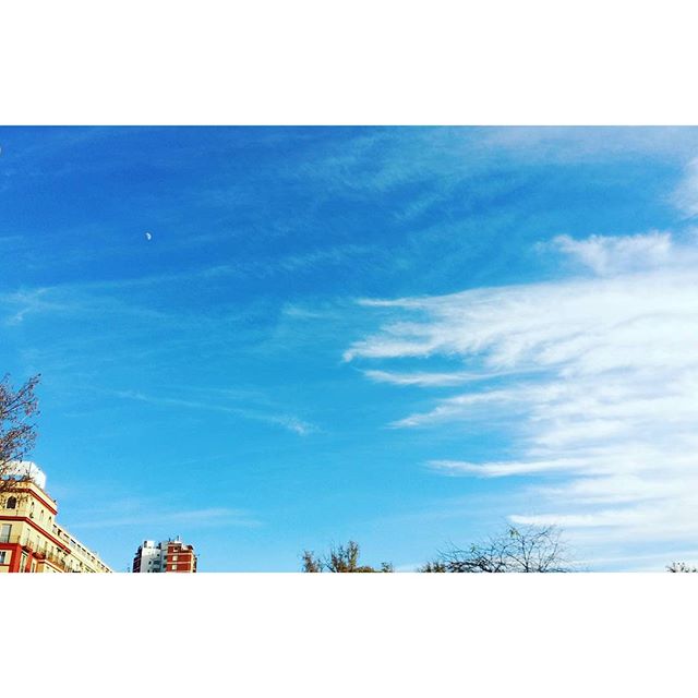 Esta batalla loca
no encaja su derrota
para lograr decir que aquí...
te seguiré esperando
#sky #skyline #skylovers #sky_love #skyporn #clouds #cloudslovers #landscape #landscapelover #nature #loves_nature #natural #ig_valencia #igersvalencia #lovevalencia #estaes_valencia #skyporn