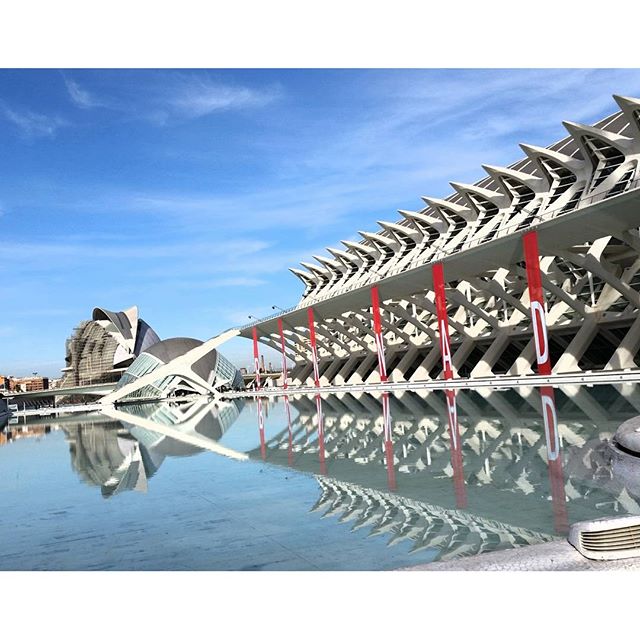 City of Arts and Sciences in Valencia. /Museum.  #beautifuldestinationss#travelgrams#skylovers#picofthedayy#beautifulviewseverywhere#instagramphotos#instatravelgram#wouldyoutravel#picturegrams#travellove#ttotd#lovettavel#travelalways#blueskye#travelphtography #travelpicture#beautyinnature#lovevalencia#myplaceintheworld#architects#livelovearchitecture #vscocamgram#igtravel#gununfotografia