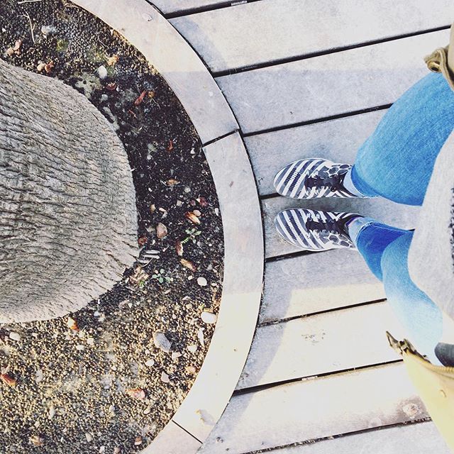 But if you look up too much..you might bump into things ?