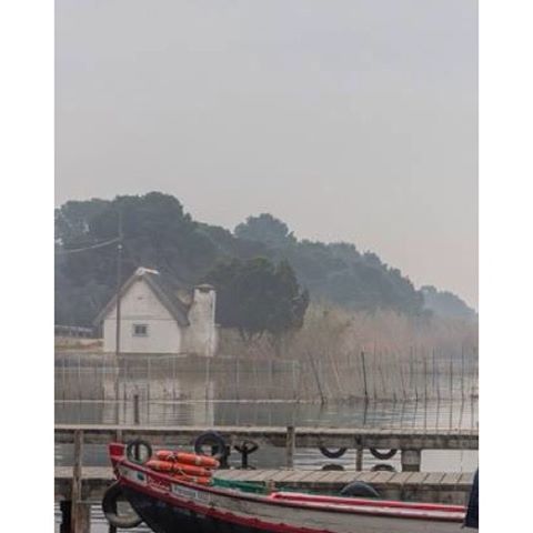 #valenciaterraimar #valenciayorkers #valenciaenamora #valenciagram #fog#fotoclub_ab #igersvalencia #ig_minimalshots #landscape #lovevalencia #match_valencia #albufera #landscape