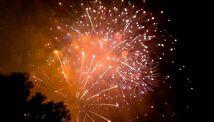 program of the fallas in valencia