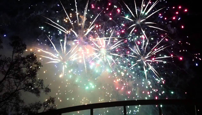 Nit del Foc 2016 Valencia