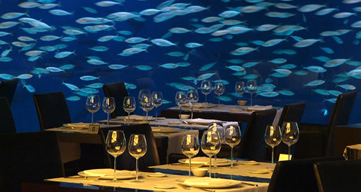 restaurante-submarino-oceanografic-valencia