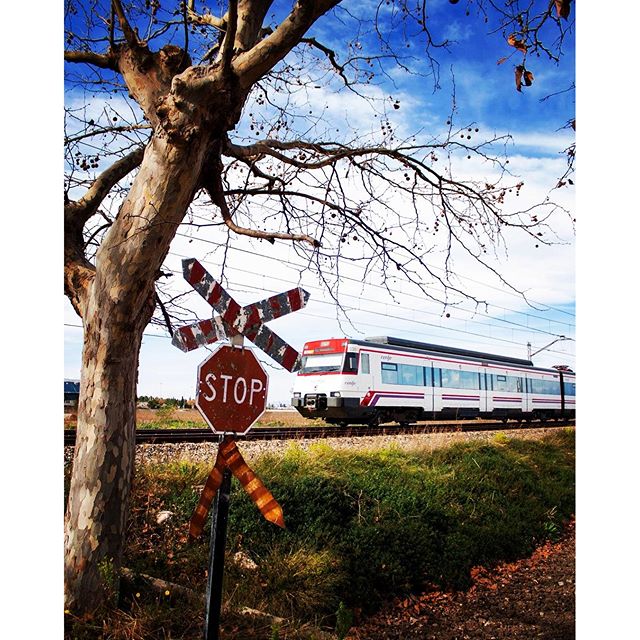 #valenciagrafias #valenciaenamora #tren#train #fotodeldia #fotoclub_ab #igersvalencia #igerscomunitat #lovevalencia #landscape #loves_valencia