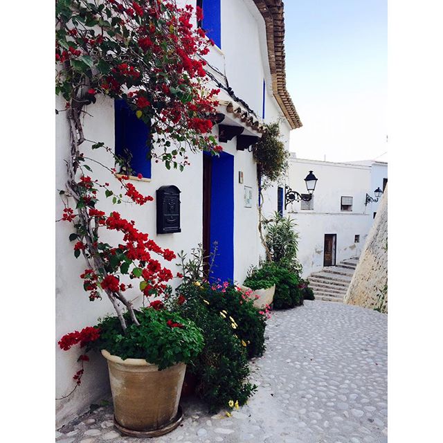 ???? ??? ?#lovevalencia #valenciagram