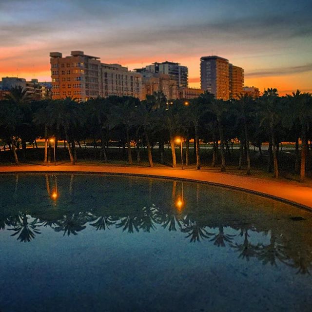 The walk home from uni is ok ???? #valencia #lovevalencia #igersspain #españa #noche #erasmus ??