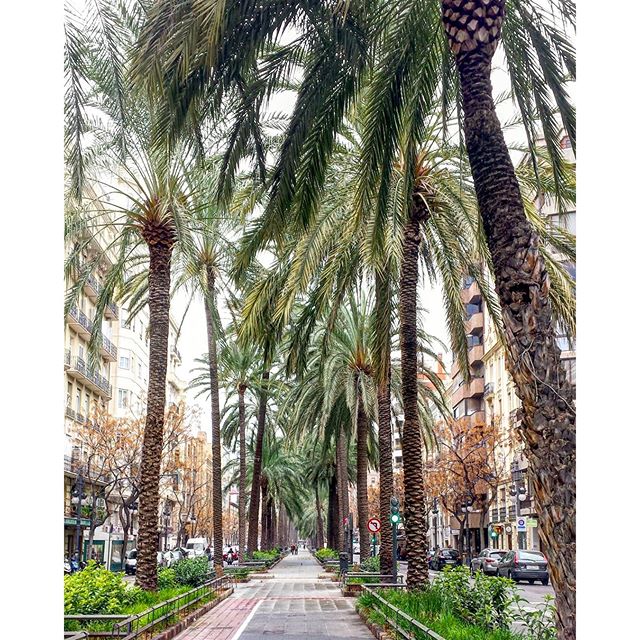 Día gris y lluvioso ??
#invierno #hivern
#winter #lluvia #installuvia #valencia #valenciagram #ig_valencia #comunitatvalenciana #VLC #igersvalencia #cielo #sky #street #streetstyle #urban #lovevalencia #visitvalencia #paseo #picoftheday #panoramica #photooftheday #valenciacity #city #citylife
