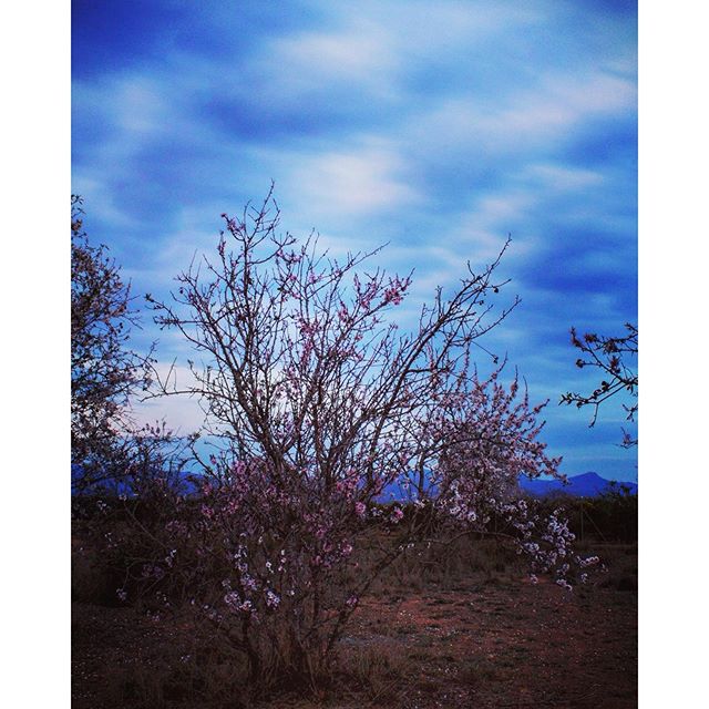 #loves_valencia #lovevalencia #nubes #fotodeldia #fotoclub_ab #igmasters #igworldclub #instamoment #instagramers #instagrammers #instagood #igersvalencia #igerscomunitat #match_colour #spring#clouds