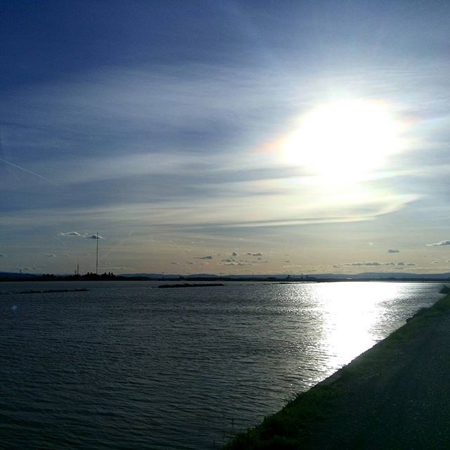 Podría ser cualquier lugar, pero es la Albufera.

#Albufera #AlbuferadeValencia #loveterreta #Valencia #València #igersValencia #loveValencia #ComunidadValenciana #ComunitatValenciana #igerscomunitat #placeslikethis #valenciagrafias #valenciagram #valencia_enamora #valenciaenamora #vlc #darlingweekend #theoutbound #keepitwild #wilderness  #liveauthentic #livefolk #nothingisordinary #livethelittlethings #thatsdarling  #abmhappylife #flashesofdelight #theblogissue  #thegreatoutdoors