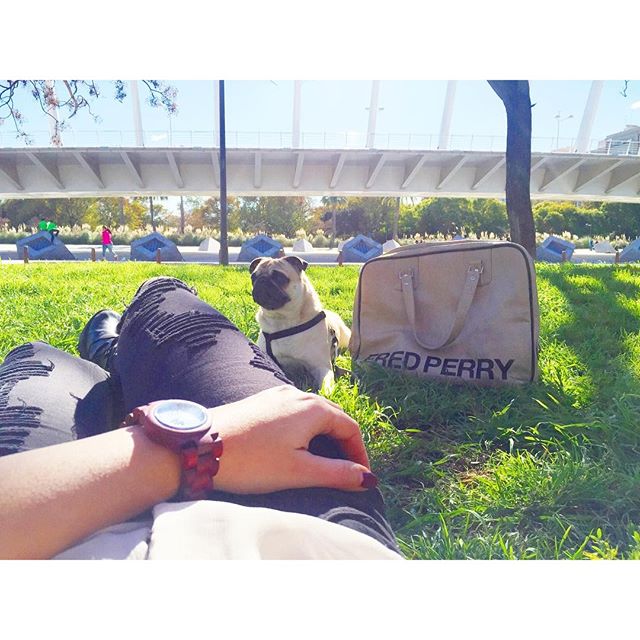 S u n d a y ? r e l a x  t i m e 
#valencia #rioturia #relax #relaxtime #carlino #pug #pugs #instapug #pugstagram #alameda #fredperry #jordwatch #feelgood #greenday #puentedelapeineta #puentedecalatrava #calatrava #lovemycity #valencialove #lovevalencia