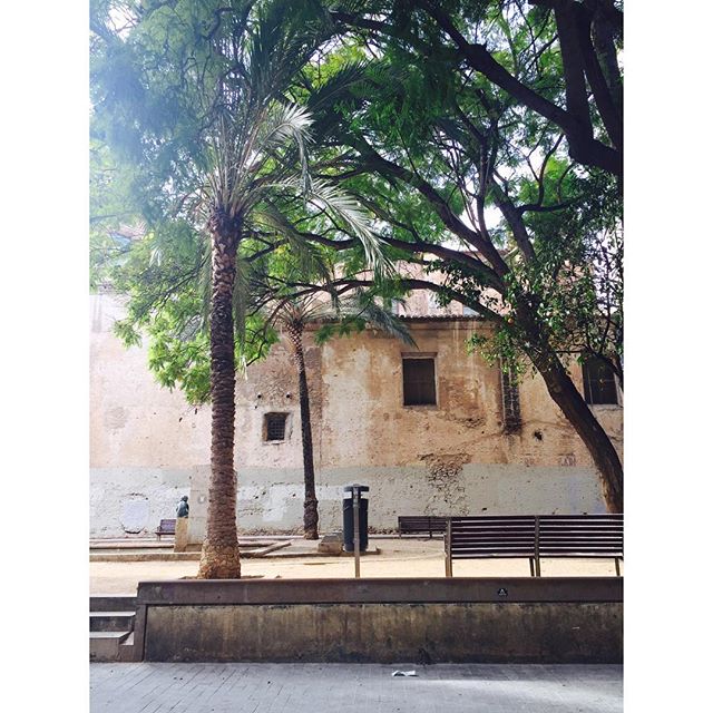 2?? ?? ????? ?? ?? ???? ??? ?? ?? ???? ????? ???#valenciagram #lovevalencia #valencia