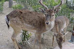 Terra Natura Benidorm