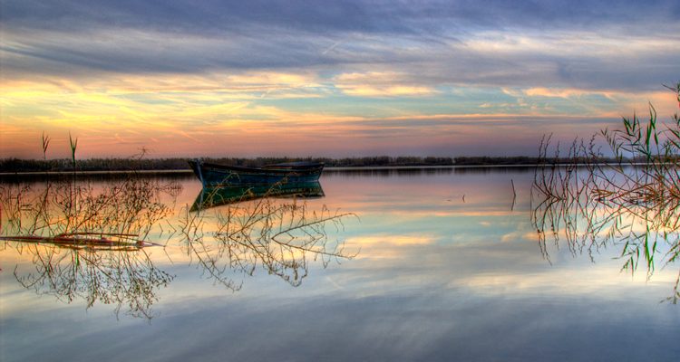 Paseos en Barca Albufera de Valencia ⛵️ ⭐️OFERTAS⭐️