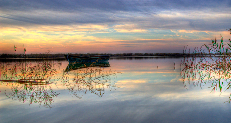 La Albufera de Valencia, un tesoro de la naturaleza