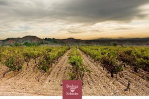Scopri le Cantine Sebirán a Requena.