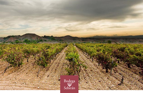 Scopri le Cantine Sebirán a Requena.