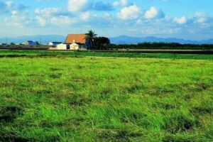 Percorso in bici da Valencia all’ Alboraya