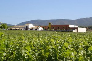 Cantine Chozas Carrascal