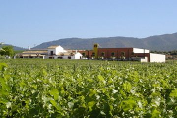 Cantine Chozas Carrascal