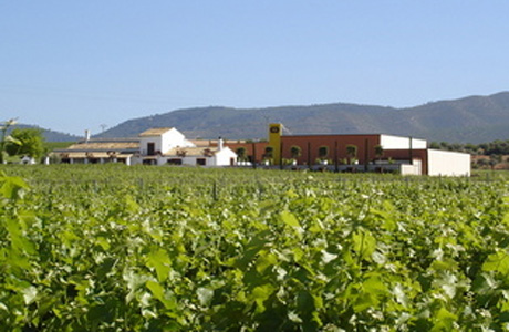 Cantine Chozas Carrascal